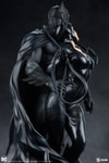 Batman and Catwoman View 12