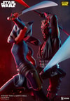 Ahsoka Tano vs Darth Maul (Prototype Shown) View 2