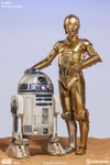 C-3PO View 6