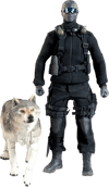 Snake Eyes and Timber View 23