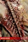 Undying Carcass Collector Edition View 25