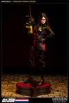 Baroness Collector Edition View 1