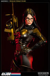 Baroness Collector Edition View 2