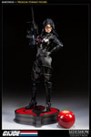 Baroness Collector Edition View 3
