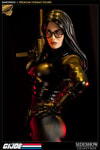 Baroness View 2