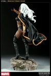 Storm Collector Edition View 3