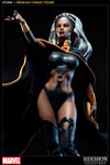 Storm Collector Edition View 5