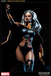 Storm Collector Edition View 6