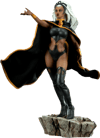 Storm Collector Edition View 9