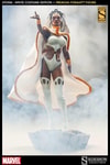 Storm (Prototype Shown) View 1