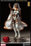 Storm (Prototype Shown) View 7