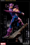 Hawkeye Collector Edition View 1