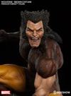 Wolverine - Brown Costume