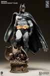 Batman View 1