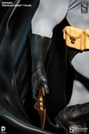 Batman View 2
