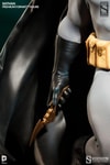 Batman View 3
