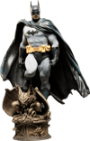 Batman View 20