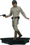Luke Skywalker Exclusive Edition View 27