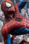 The Amazing Spider-Man Collector Edition View 8