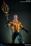 Aquaman Collector Edition View 3