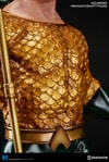 Aquaman Collector Edition View 12