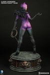 Classic Catwoman View 5