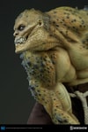 Killer Croc Collector Edition View 21
