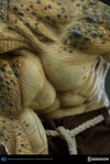 Killer Croc Collector Edition View 20