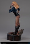 Black Canary Collector Edition View 6