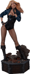Black Canary Exclusive Edition View 21