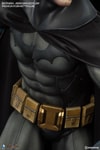 Batman Arkham Asylum Collector Edition (Prototype Shown) View 8