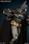 Batman Arkham Asylum Collector Edition (Prototype Shown) View 11
