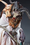 Shieve: The Pathfinder