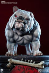 Dawg View 5