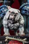 Dawg View 11