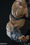 Bane Collector Edition View 19