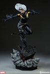 Black Cat