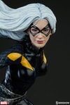 Black Cat
