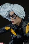 Black Cat