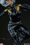 Black Cat Collector Edition 