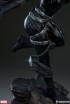 Black Cat