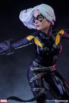 Black Cat Collector Edition 