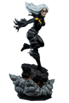Black Cat