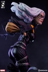 Black Cat Exclusive Edition 