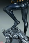 Black Widow Collector Edition 