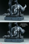 Black Widow Collector Edition 