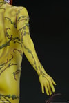 Poison Ivy Collector Edition View 17