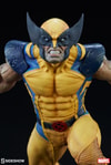 Wolverine Collector Edition View 18