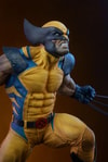 Wolverine Exclusive Edition View 31