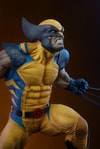 Wolverine Collector Edition View 27